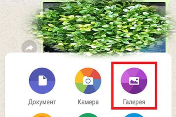 Ссылка на кракена для тора