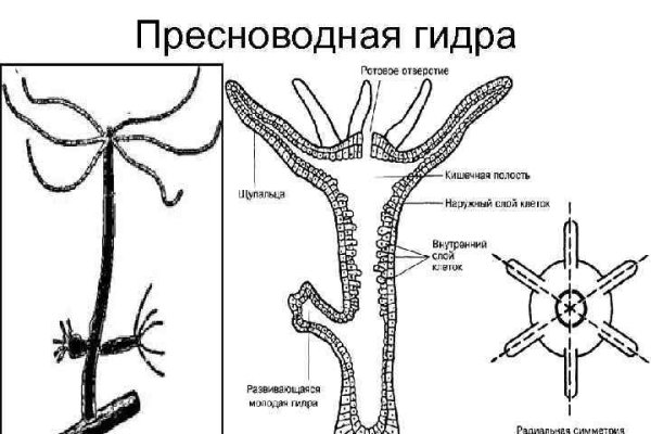 Как зайти на площадку кракен