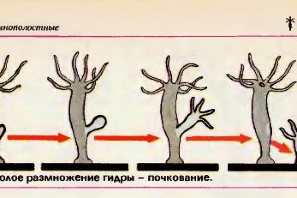 Вход на кракен