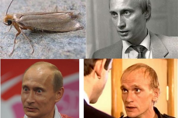 Кракен зеркало ссылка онлайн