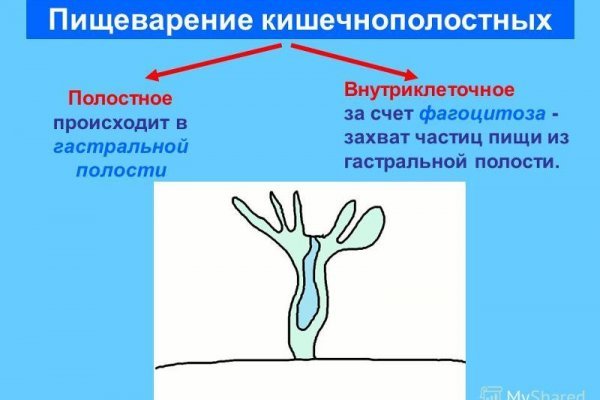 Сайт кракен закрыли